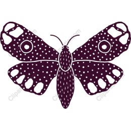 Elegant Butterfly