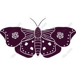 Elegant Butterfly