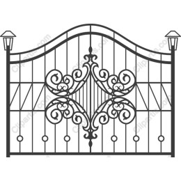 Elegant Ornate Wrought Iron Gate