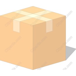 Cardboard Box in and