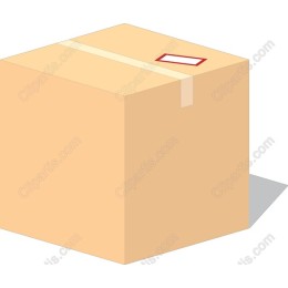 Cardboard Box
