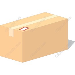 Carton Box
