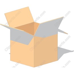 Open Cardboard Box