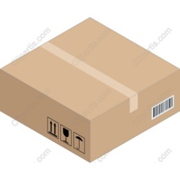 Cardboard Box
