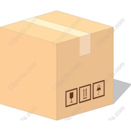 Cardboard Box