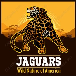 Jaguars: Wild Nature of America