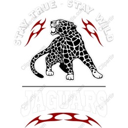 Fierce Leopard