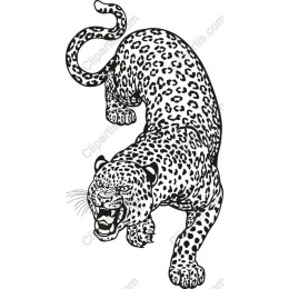 Leaping Leopard