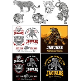 Jaguar Collection: Majestic