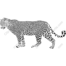 Majestic Leopard