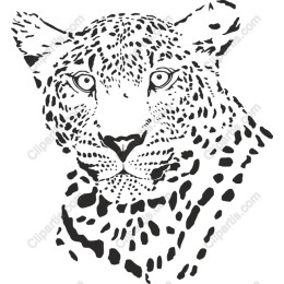 Majestic Leopard