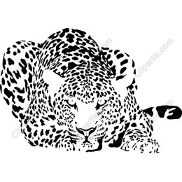 Majestic Leopard