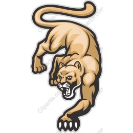 Fierce Panther