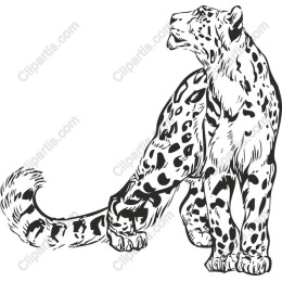 Majestic Leopard