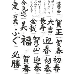 Japanese Calligraphy Set - Elegant