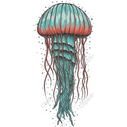 Vibrant Jellyfish