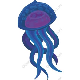 Vibrant Jellyfish