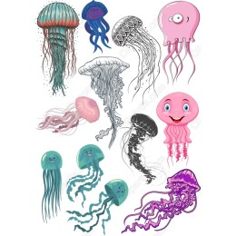 Jellyfish Bundle