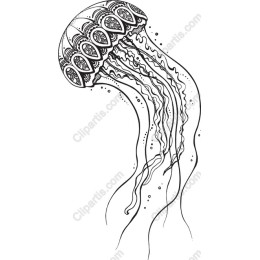 Intricate Jellyfish