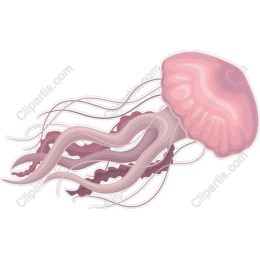 Whimsical Jellyfish