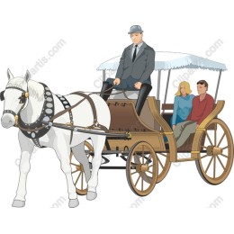 Classic Horse-Drawn Carriage