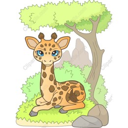 Charming Playful Giraffe