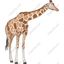 Majestic Giraffe