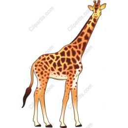 Charming Giraffe