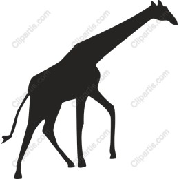 Elegant Giraffe