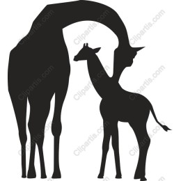 Giraffe Love: Mother and Calf
