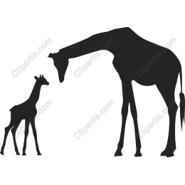 Giraffe Love: Mother and Calf