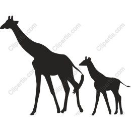 Giraffe Duo