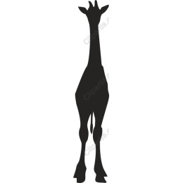 Elegant Giraffe