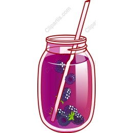 Berry Bliss Drink