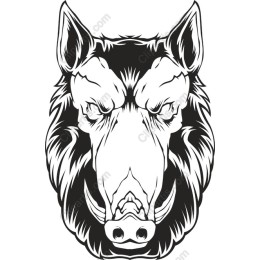 Wild Boar Head
