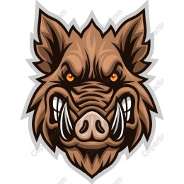 Fierce Boar Head