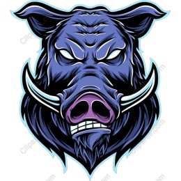 Fierce Wild Boar