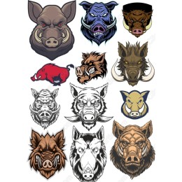 Wild Boar Bundle - 12 Unique