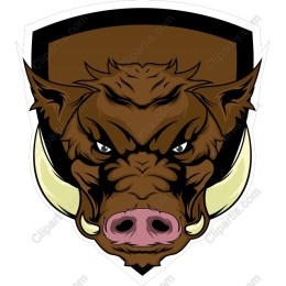 Fierce Wild Boar Head