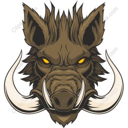 Fierce Wild Boar Head