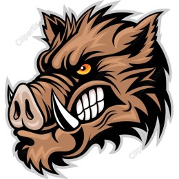 Fierce Wild Boar