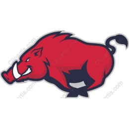Fierce Red Boar