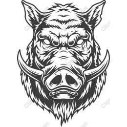 Fierce Wild Boar