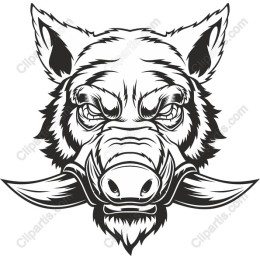 Wild Boar Head