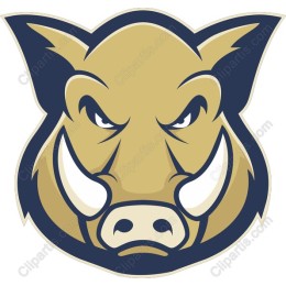 Fierce Boar
