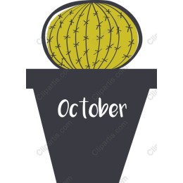 October Cactus
