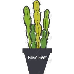 November Cactus