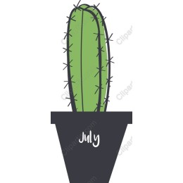 July Cactus