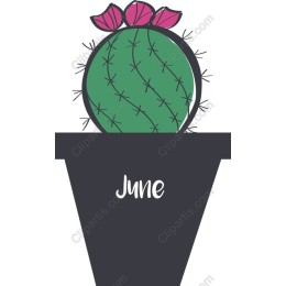 Vibrant Cactus