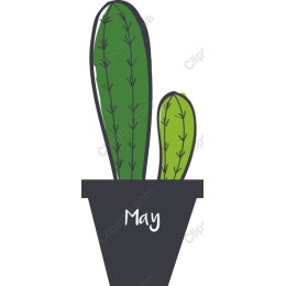 Cactus Duo - May